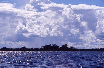 Amazonas Amazonas