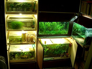 Aquarien febr04 f