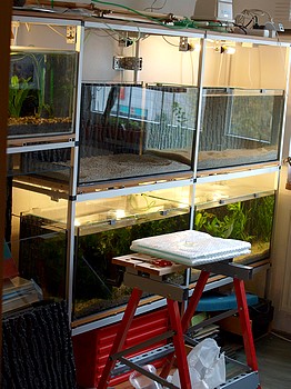 Aquarium 29 Oktober 08c