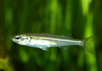 Zoo Leipzig 23 Dezember 2013 (2)