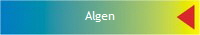 Algen