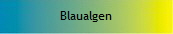 Blaualgen