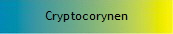 Cryptocorynen