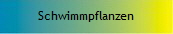 Schwimmpflanzen